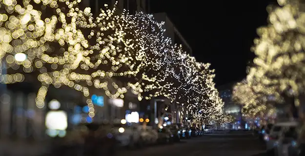 Trees along a town's main street covered with holiday lights.