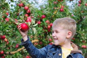 child with apples.