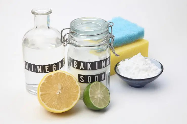 Homemade cleanser