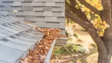 Gutters clogged with leaves.