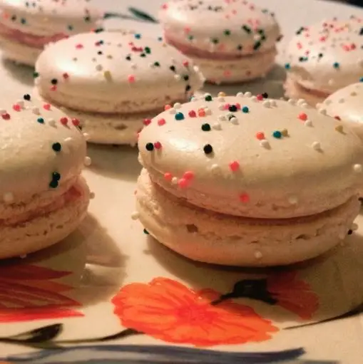 French Macaron