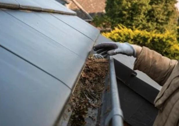 Gutter cleaning